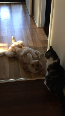 Writer with Benifits