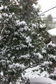 Stratagem 27 2018-09-13 23:59:00